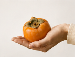 A bright persimmon held against an ivory background
